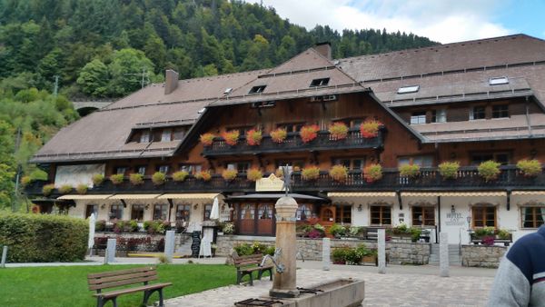 Titisee in the Black Forest